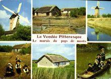 CPM La Vendee Touristique le Marais Vendeen Bourrines et Moulins 