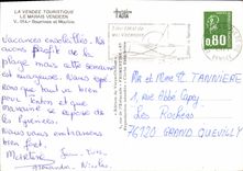 CPM La Vendee Touristique le Marais Vendeen Bourrines et Moulins 
