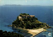 CPM La Cote d'Azur Bormes les Mimosas 