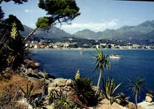 CPM La Cote d'Azur le Cap Martin au fond Menton 