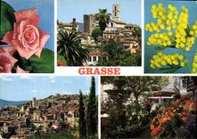 CPM Cote d'Azur Grasse Alpes Maritimes Capitale des fleurs et des parfums 