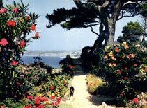 CPM Nice Capitale Mondiale du Tourisme Echappee sur la Baie des Anges a travers les Massifs fleuris 