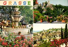 CPM Cote d'Azur Grasse Alpes Maritimes Cite des Fleurs Capitale des parfums 