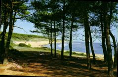 CPM Jard sur Mer Vendee Plage de Ragounitte 