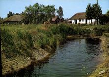 CPM La Vendee Pittoresque Bourrine dans le marais 