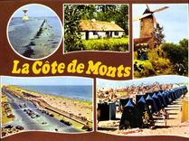 CPM La Cote de Monts Vendee le Gois Noirmoutier Bourrines Folklore bouquets d'ajoncs St Jean de Mont