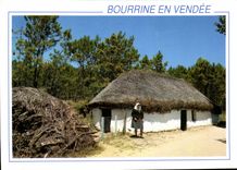 CPM Bourrine en Vendee 