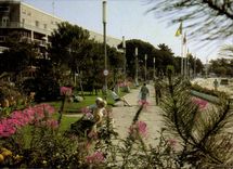 CPM Royan les Jardins du Front de Mer 