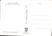 CPM Bassin d'Arcachon Archachon a maree haute 