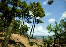 CPM Couleurs et Lumiere de France Ile d'Oleron Pointe de Saint Trojan 