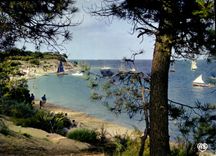 CPM Ile de Re Charente Maritime Les Portes Le Fier Anse de Trousse Chemise 