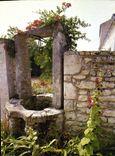 CPM Cote Atlantique Un vieux puits 
