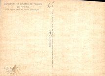 CPM Couleurs et Lumiere de France Les Pyrenes En route vers les hauts paturages Vaches