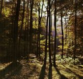 CPM Paysage en Perigord 