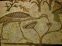 CPM Tabgha Eglise de la Multiplication des Miches de la Pain et des Poissons Mosaiqe Bysantine 