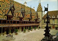CPM Au Pays des Grands Crus Beaune Cote d'Or 