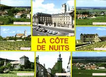 CPM Au Pays des Grands Crus La Cote de Nuits Cote d'Or 