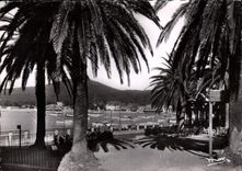 CPM La Cote d'Azur Ste Maxime sur Mer Vue prise de la Place des Palmiers 