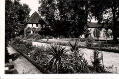 CPM Dijon Cote d'Or Les Jardins de l'Arquebuse 