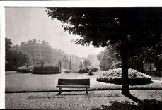 CPM Dijon Cote d'Or Promenade Darcy 