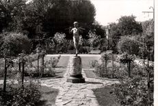 CPM Dijon COte d'Or Jardins de l'Arquebuse La Roseraie 