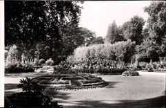 CPM Dijon Cote d'Or Les Jardins de l'Arquebuse 
