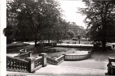 CPM Dijon Cote d'Or Jardin Darcy 