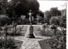 CPM Dijon Cote d'Or Jardin de l'Arquebuse La Roseraie 