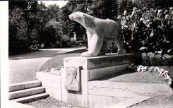 CPM Dijon Cote d'Or Promenade Darcy L'Ours de Pompon 