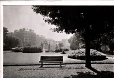 CPM Dijon Cote d'Or Promenade Darcy 