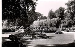 CPM Dijon Cote d'Or Les Jardins de l'Arquebuse 