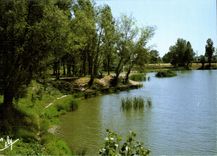 CPM Villeneuve Tolosane Le Lac 