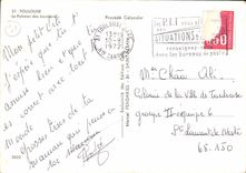 CPM Toulouse Le Palmier des Jacobins 