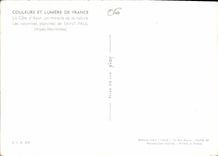 CPM La Cote d'Azur un miracle de la nature Les Colombes blanches de Saint Paul Alpes Maritimes 