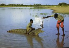 CPM Crocodile 
