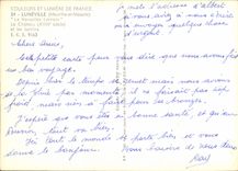 CPM Luneville Meurthe et Moselle Le Versailles Lorrain Le Chateau 