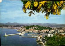CPM Au soleil de la Cote d'Azur Vue generale de la ville prise du Mont Boron 