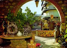 CPM Couleurs et lumiere de France la Cote d'Azur miracle de la nature Vallauris Alpes Maritimes vill