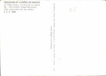 CPM Couleurs et lumiere de France la Cote d'Azur miracle de la nature Vallauris Alpes Maritimes vill