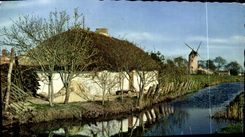 CPM En Vendee une Bourrine Moulin a vent
