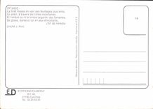 CPM Rivieres de France la foret en vain ses feuillages plus lents le soleil a travers les cimes inco