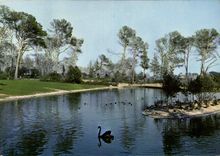 CPM Au soleil du Languedoc Montpellier Herault le Parc Lunaret 