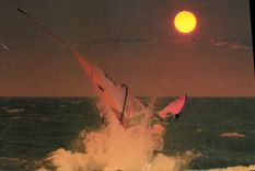 CPM Prestige de la Photo Photo Damien Farissier Planche a voile