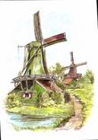 CPM Schilderll de Zaanse Schans met groene Molen de Husman op de Voorgrond 