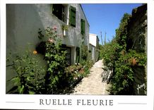 CPM Couleurs et Lumiere de France Ruelle Fleurie 