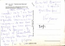 CPM Ales Capitale des cevennes Gard les Escaliers de la Marechale menant aux Jardins du Bosquet XVII