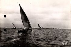 CPM En Languedoc le Grau du Roi Gard retour de peche 
