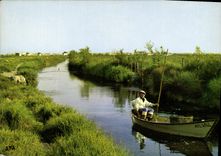 CPM En Camargue les as de la peche 