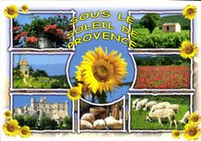 CPM Sous le Soleil de Provence 