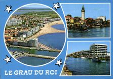 CPM Le Grau du Roi Gard vue aerienne la rive droite la rive gauche 